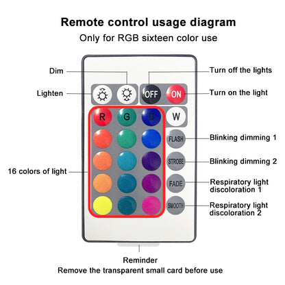 WATER PROJECTOR