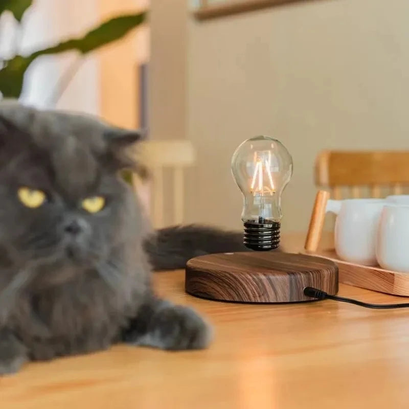 LEVITATION LAMP